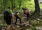 2026-06-29 at 11.21.59 (1)